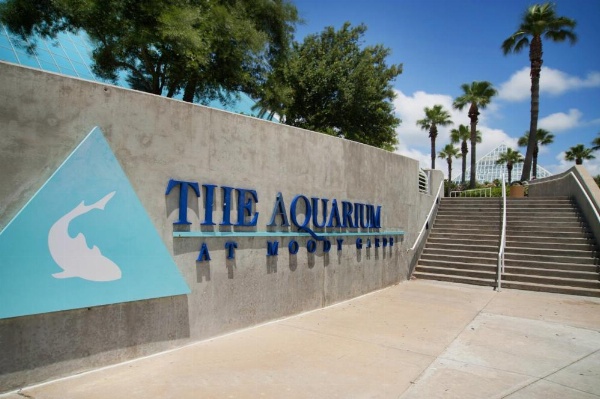 Inn At The Waterpark image 30